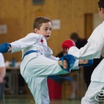 Wiener Karate Landesmeisterschaft 2017 in der PAHO-Halle, Jura-Soyfer-Gasse 3, 1100 Wien