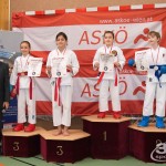 Wiener Karate Landesmeisterschaft 2017 in der PAHO-Halle, Jura-Soyfer-Gasse 3, 1100 Wien