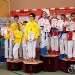 Wiener Karate Landesmeisterschaft 2017 in der PAHO-Halle, Jura-Soyfer-Gasse 3, 1100 Wien