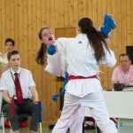 Wiener Karate Landesmeisterschaft 2017 in der PAHO-Halle, Jura-Soyfer-Gasse 3, 1100 Wien