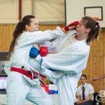 Wiener Karate Landesmeisterschaft 2017 in der PAHO-Halle, Jura-Soyfer-Gasse 3, 1100 Wien