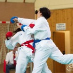 Wiener Karate Landesmeisterschaft 2017 in der PAHO-Halle, Jura-Soyfer-Gasse 3, 1100 Wien