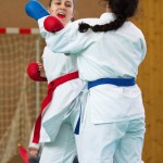 Wiener Karate Landesmeisterschaft 2017 in der PAHO-Halle, Jura-Soyfer-Gasse 3, 1100 Wien