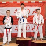 Wiener Karate Landesmeisterschaft 2017 in der PAHO-Halle, Jura-Soyfer-Gasse 3, 1100 Wien