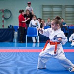 ASKÖ Wiener Karate Landesmeisterschaft 2018 in der Bernoullistraße 9, 1220 Wien