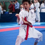 ASKÖ Wiener Karate Landesmeisterschaft 2018 in der Bernoullistraße 9, 1220 Wien