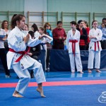 ASKÖ Wiener Karate Landesmeisterschaft 2018 in der Bernoullistraße 9, 1220 Wien