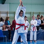 ASKÖ Wiener Karate Landesmeisterschaft 2018 in der Bernoullistraße 9, 1220 Wien