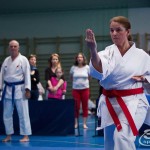 ASKÖ Wiener Karate Landesmeisterschaft 2018 in der Bernoullistraße 9, 1220 Wien