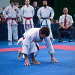 ASKÖ Wiener Karate Landesmeisterschaft 2018 in der Bernoullistraße 9, 1220 Wien