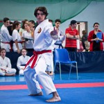 ASKÖ Wiener Karate Landesmeisterschaft 2018 in der Bernoullistraße 9, 1220 Wien