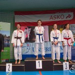 ASKÖ Wiener Karate Landesmeisterschaft 2018 in der Bernoullistraße 9, 1220 Wien