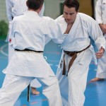 3. Karate Wien Tag
