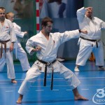 3. Karate Wien Tag