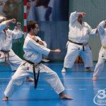 3. Karate Wien Tag