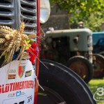 13. Oldtimertreffen in Pillichsdorf