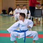 Wiener Karate Landesmeisterschaft 2021