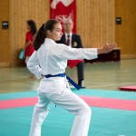 Wiener Karate Landesmeisterschaft 2021