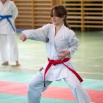 Wiener Karate Landesmeisterschaft 2021