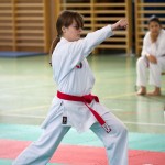 Wiener Karate Landesmeisterschaft 2021