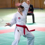 Wiener Karate Landesmeisterschaft 2021