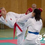 Wiener Karate Landesmeisterschaft 2021