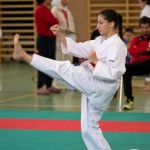 Wiener Karate Landesmeisterschaft 2021