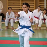 Wiener Karate Landesmeisterschaft 2021