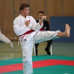 Wiener Karate Landesmeisterschaft 2021