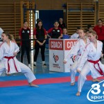 Wiener Karate Meisterschaft 2025