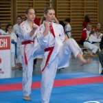 Wiener Karate Meisterschaft 2025