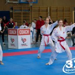 Wiener Karate Meisterschaft 2025