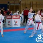 Wiener Karate Meisterschaft 2025