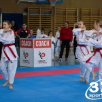 Wiener Karate Meisterschaft 2025
