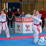Wiener Karate Meisterschaft 2025