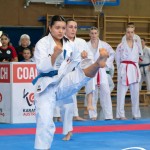 Wiener Karate Meisterschaft 2025