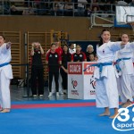 Wiener Karate Meisterschaft 2025