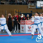 Wiener Karate Meisterschaft 2025
