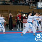 Wiener Karate Meisterschaft 2025