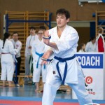 Wiener Karate Meisterschaft 2025