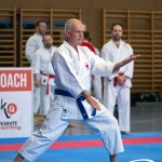 Wiener Karate Meisterschaft 2025