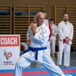 Wiener Karate Meisterschaft 2025
