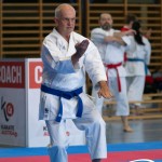Wiener Karate Meisterschaft 2025