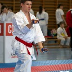 Wiener Karate Meisterschaft 2025