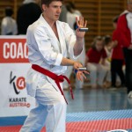 Wiener Karate Meisterschaft 2025