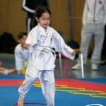 Wiener Karate Meisterschaft 2025