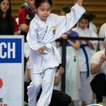Wiener Karate Meisterschaft 2025