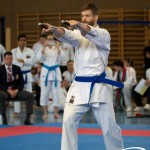 Wiener Karate Meisterschaft 2025
