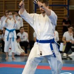 Wiener Karate Meisterschaft 2025