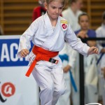 Wiener Karate Meisterschaft 2025